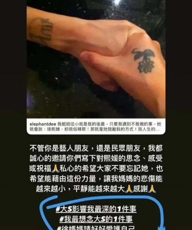 不仅是珠宝连家具都搬空了小S欲盖弥彰瓦力游戏app大S豪宅被搬空更多细节(图11)